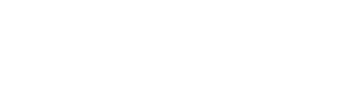 Foton Foton